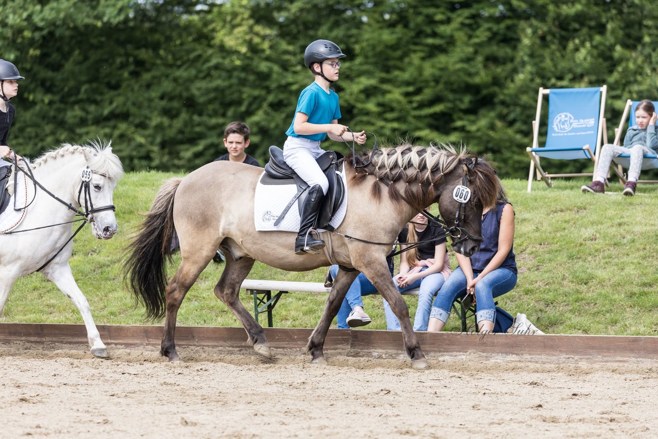 Bild 171 - Pony Akademie Turnier